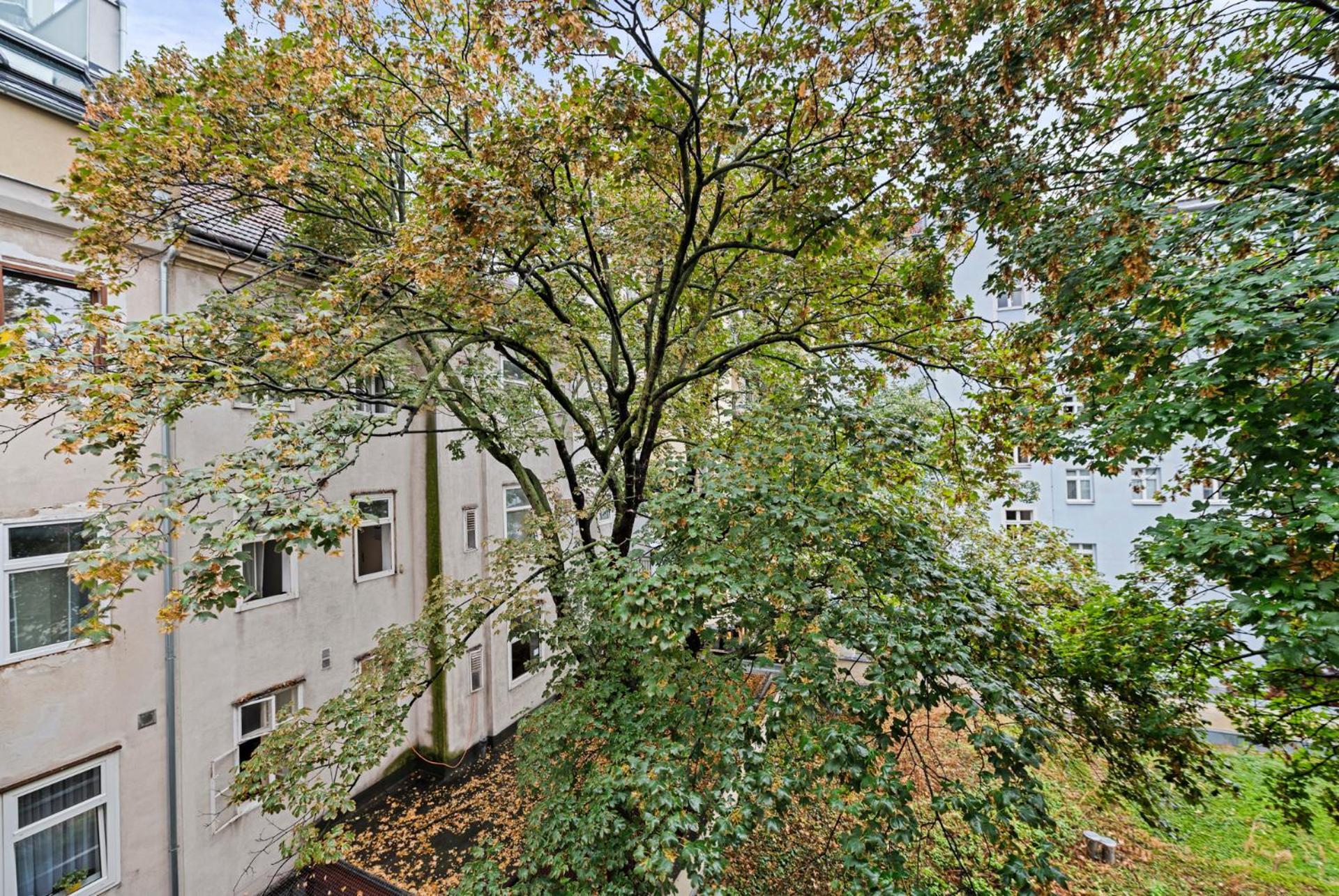 וינה Cozy, Generous City Apartment - 10 Min To City-Centre - Contactless 24H Check-In מראה חיצוני תמונה
