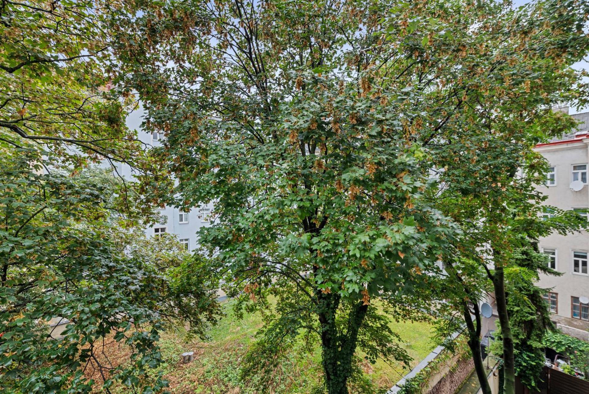 וינה Cozy, Generous City Apartment - 10 Min To City-Centre - Contactless 24H Check-In מראה חיצוני תמונה